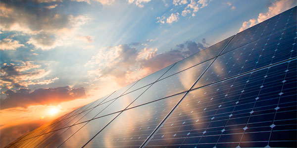 Painéis solares (Foto: GreenMe)